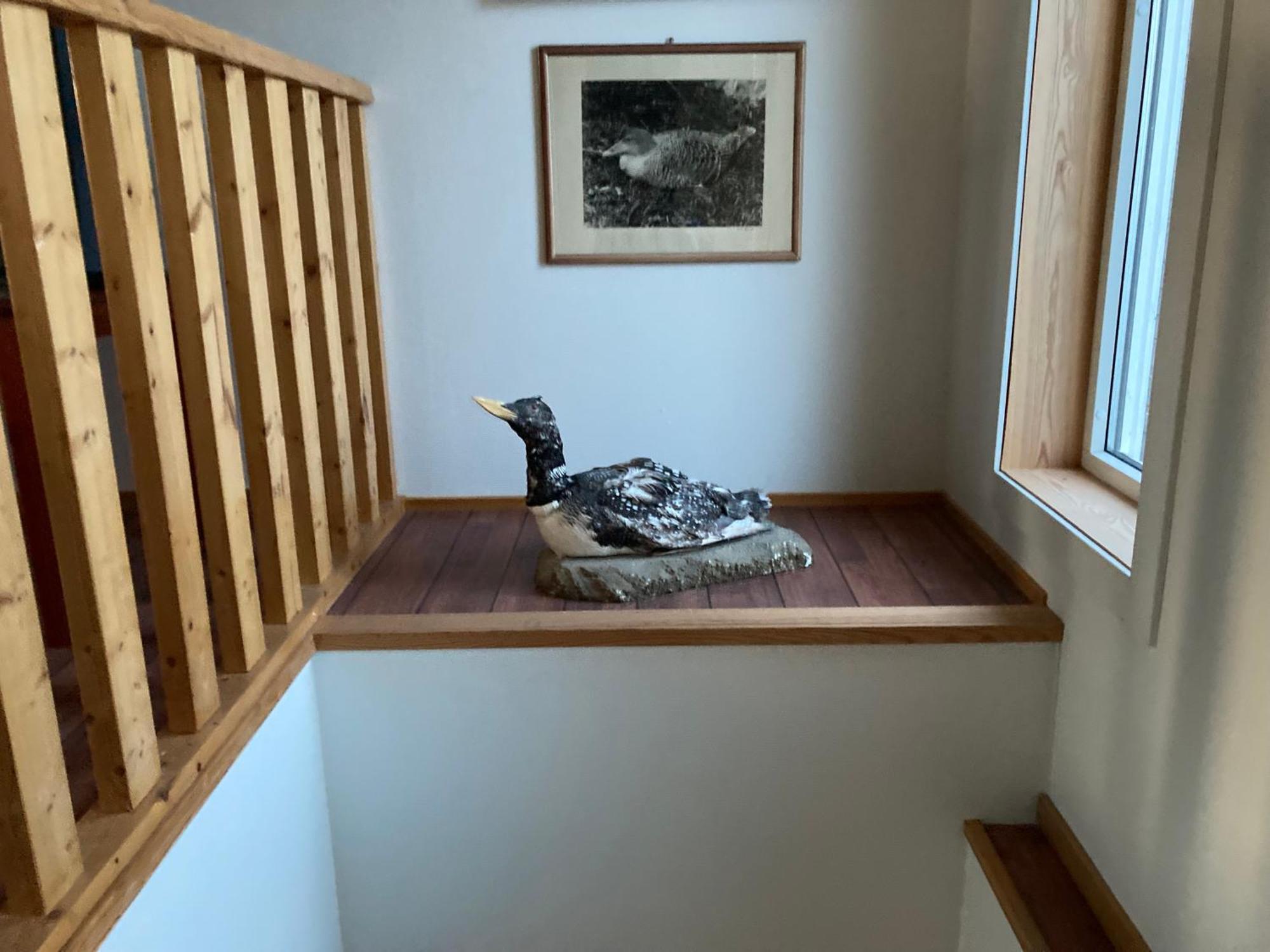 ホテル Fiskarheimen Havly, Røst エクステリア 写真